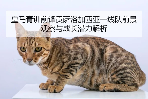 皇马青训前锋贡萨洛加西亚一线队前景观察与成长潜力解析