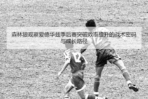 森林狼观察爱德华兹季后赛突破效率提升的战术密码与成长路径