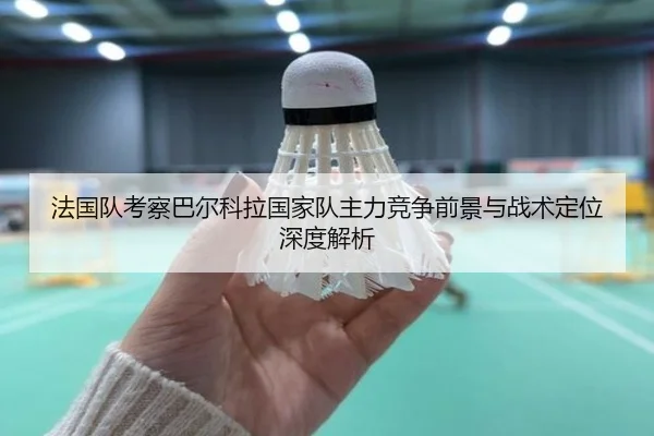 法国队考察巴尔科拉国家队主力竞争前景与战术定位深度解析