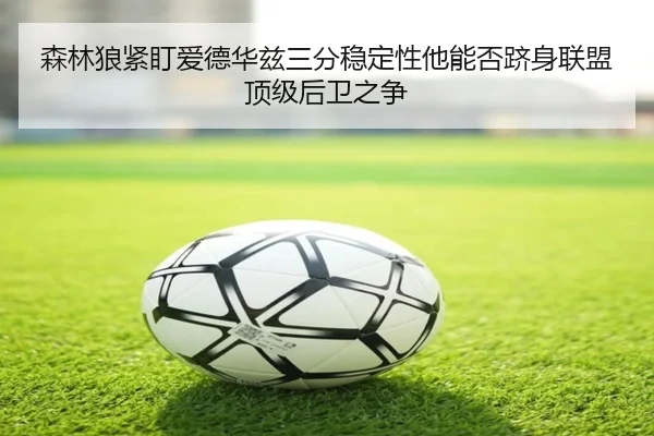 森林狼紧盯爱德华兹三分稳定性他能否跻身联盟顶级后卫之争